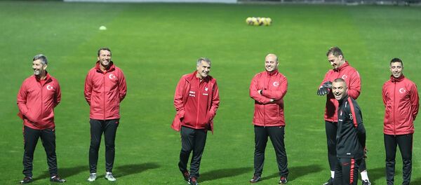 Şenol Güneş - Sputnik Türkiye