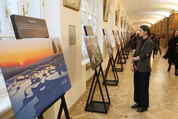 St.Petersburg Kültür Forumunun etkinliklerinden kareler - Sputnik Türkiye