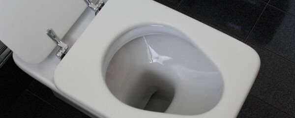 tuvalet - Sputnik Türkiye