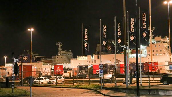Hollanda'da bir kargo gemisinde bulunan dondurucu konteynerde 25 kaçak göçmen bulundu. - Sputnik Türkiye
