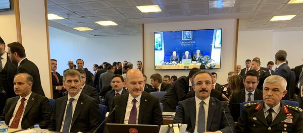 İçişleri Bakanı Süleyman Soylu  - Sputnik Türkiye