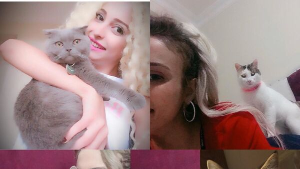 Kağıthane'de evde beslediği 5 kediden 4'ü öldürülen Ayşegül Bahar, kedileri öldürdüğü iddiasıyla eski sevgilisi Cihan Y.'yi savcılığa şikayet etti.   - Sputnik Türkiye