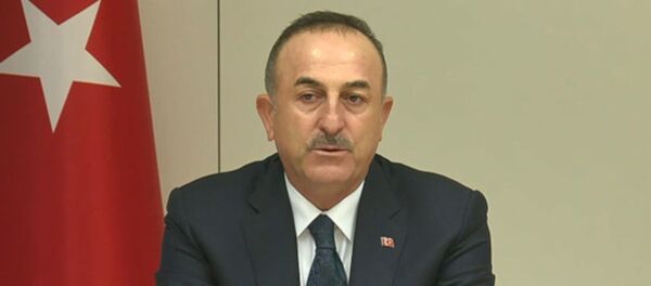 Dışişleri Bakanı Mevlüt Çavuşoğlu Dışişleri Bakanı Mevlüt Çavuşoğlu - Sputnik Türkiye