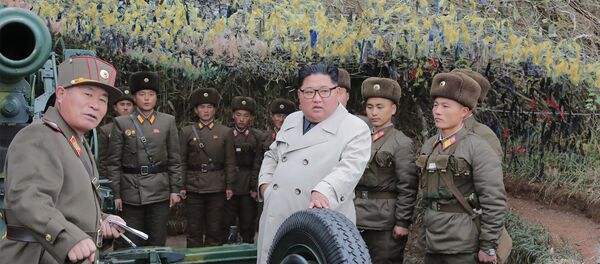 Kuzey Kore Lideri Kim Jong-un, Güney Kore ile tartışmalı sınıra yakın bölgedeki bir askeri birlikte yaptığı denetleme sırasında top atışı talimatı verdi. - Sputnik Türkiye