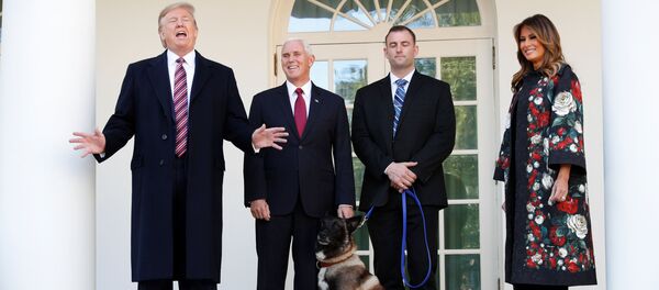 Trump'tan Bağdadi operasyonunda görevli köpeğe plaket ve madalya - Sputnik Türkiye