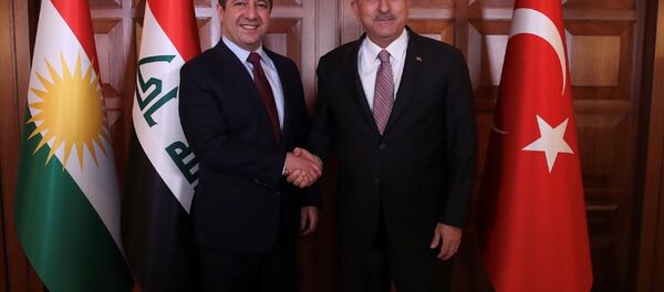 ​Dışişleri Bakanı Mevlüt Çavuşoğlu, IKBY Başbakanı Mesrur Barzani ile Dışişleri Bakanlığı Resmi Konutu’nda görüştü. - Sputnik Türkiye