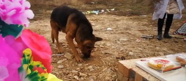 Huzi - Sputnik Türkiye