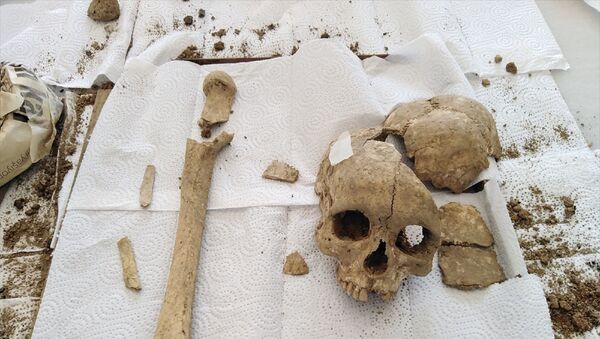 Şapinuva Antik Kenti'nde 3500 yıllık insan kafatası ve uyluk kemiği bulundu - Sputnik Türkiye