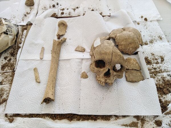 Şapinuva Antik Kenti'nde 3500 yıllık insan kafatası ve uyluk kemiği bulundu - Sputnik Türkiye