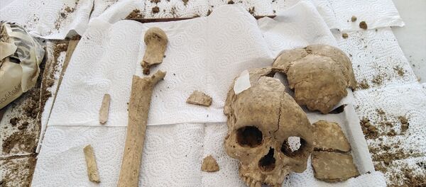 Şapinuva Antik Kenti'nde 3500 yıllık insan kafatası ve uyluk kemiği bulundu - Sputnik Türkiye