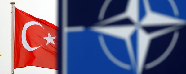 Türkiye - NATO - Sputnik Türkiye