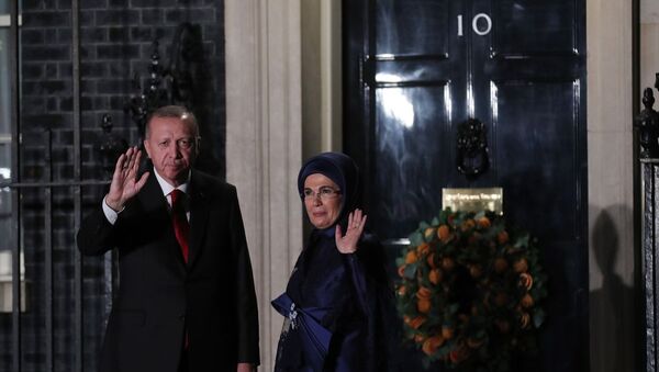 Erdoğan, İngiltere Başbakanı Boris Johnson’ın verdiği yemeğe katıldı - Sputnik Türkiye