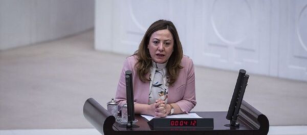 Mizgin Irgat - Sputnik Türkiye