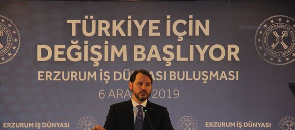 Hazine ve Maliye Bakanı Berat Albayrak - Sputnik Türkiye