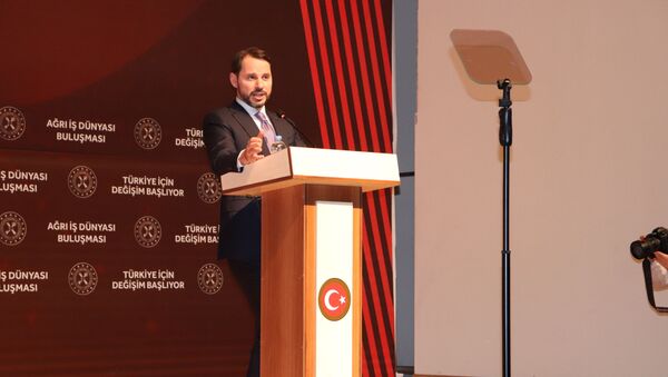 Bakan Albayrak: Türkiye ekonomik olarak zorlu süreci geride bıraktı - Sputnik Türkiye