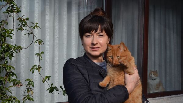 Tekirdağ'ın Süleymanpaşa ilçesinde kimliği belirsiz kişiler Rusya uyruklu bir kadının evinde beslediği kedilere ciğere zehir karıştırıp yedirdi.  - Sputnik Türkiye