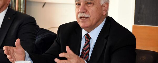 Doğu Perinçek - Sputnik Türkiye