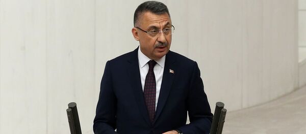 Fuat Oktay - Sputnik Türkiye