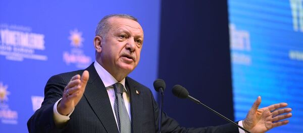 Recep Tayyip Erdoğan - Sputnik Türkiye