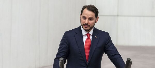 Hazine ve Maliye Bakanı Berat Albayrak - Sputnik Türkiye