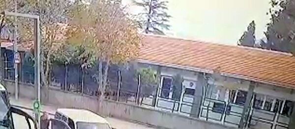 Yaşar Deviren - Sputnik Türkiye