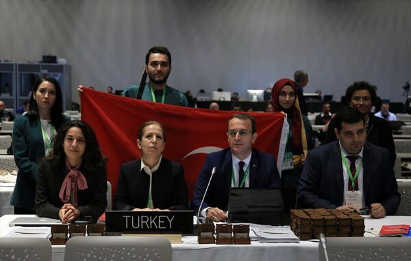 'Geleneksel Türk Okçuluğu' UNESCO listesinde - Sputnik Türkiye