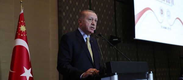 Türkiye Cumhurbaşkanı Recep Tayyip Erdoğan, İsviçre'ye göçün 50. yılı vesilesiyle düzenlenen etkinliğe katılarak konuşma yaptı. - Sputnik Türkiye