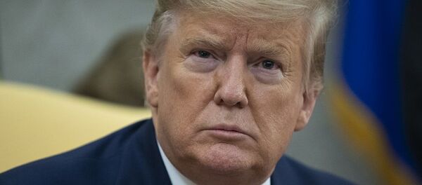 Donald Trump - Sputnik Türkiye