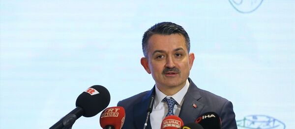 Bekir Pakdemirli - Sputnik Türkiye