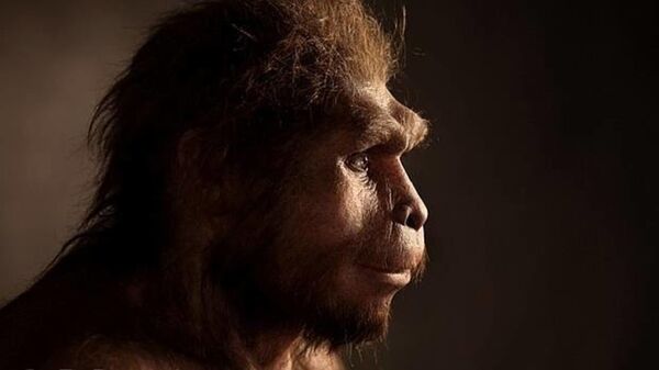 Homo erectus - Sputnik Türkiye