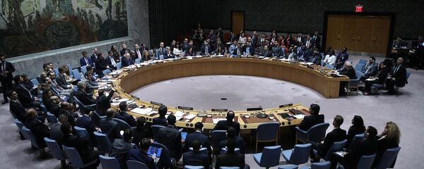 BM Güvenlik Konseyi - Sputnik Türkiye