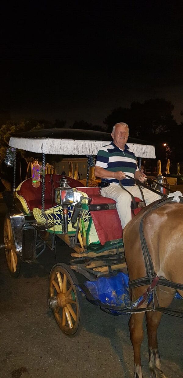 Büyükadalı 55 yıllık faytoncu Pire İsmail: Biz atlarımıza çocuğumuz gibi bakardık - Sputnik Türkiye