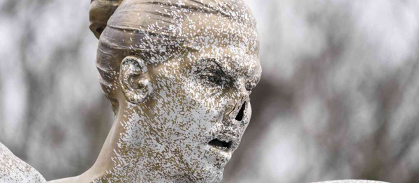 Zlatan Ibrahimovic - Sputnik Türkiye