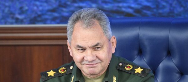 Sergey Şoygu - Sputnik Türkiye