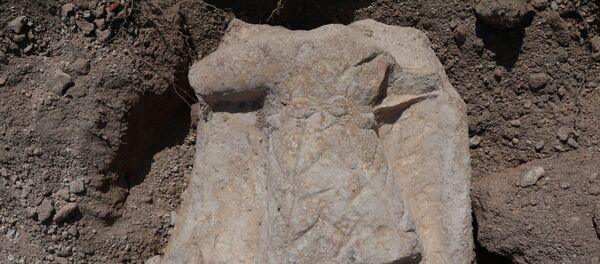 Karabük'ün Eskipazar ilçesindeki Hadrianapolis Antik Kenti'nde ortaya çıkarılan ve Hristiyanlık alemi için büyük öneme sahip olan figürlerin yer aldığı kilisenin bulunduğu alanda sürdürülen çalışmalarda 1800 yıl öncesine ait bir adak levhası bulundu. - Sputnik Türkiye