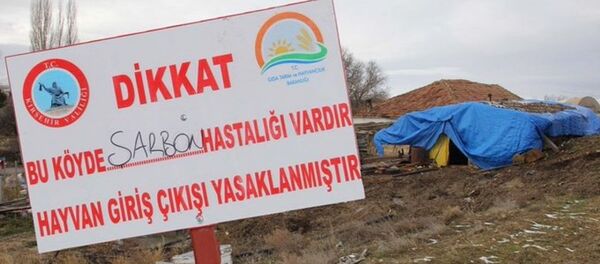 Kırşehir'de şarbon - Sputnik Türkiye