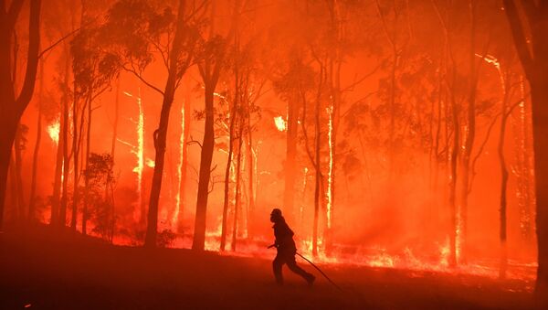 Avustralya, orman yangını - Sputnik Türkiye