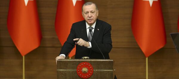 Recep Tayyip Erdoğan - Sputnik Türkiye