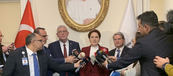 Meral Akşener - Sputnik Türkiye