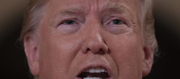 ABD Başkanı Donald Trump - Sputnik Türkiye