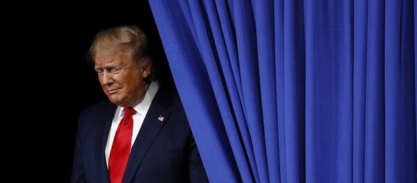 Donald Trump - Sputnik Türkiye