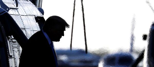 Donald Trump - Sputnik Türkiye