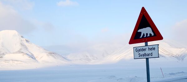 Norveç trafik tabelası - Sputnik Türkiye