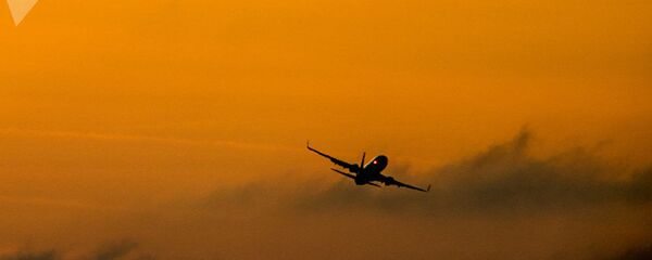 Yolcu uçağı - Sputnik Türkiye