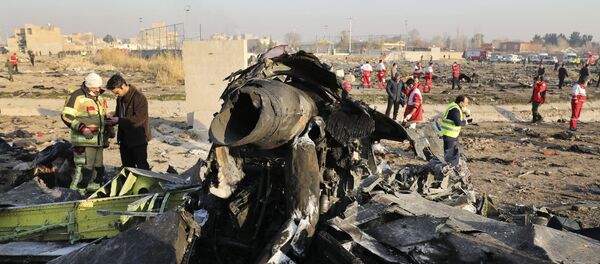 Ukrayna'nın başkenti Kiev'e gitmek üzere Tahran İmam Humeyni Uluslararası Havalimanı'ndan havalanan Boeing 737 tipi yolcu uçağı kısa süre sonra teknik arıza nedeniyle düştü. Ukrayna'nın başkenti Kiev'e gitmek üzere Tahran İmam Humeyni Uluslararası Havalimanı'ndan havalanan Boeing 737 tipi yolcu uçağı kısa süre sonra teknik arıza nedeniyle düştü. - Sputnik Türkiye