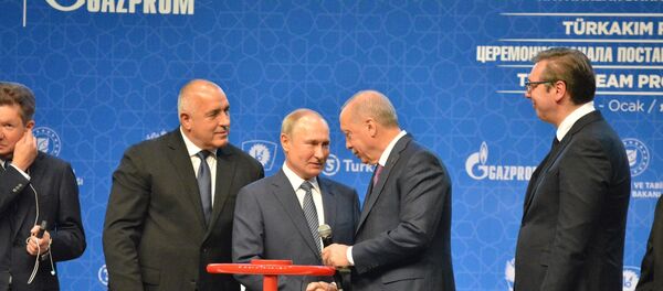 TürkAkım doğal gaz boru hattının açılış töreni TürkAkım doğal gaz boru hattının açılış töreni - Sputnik Türkiye