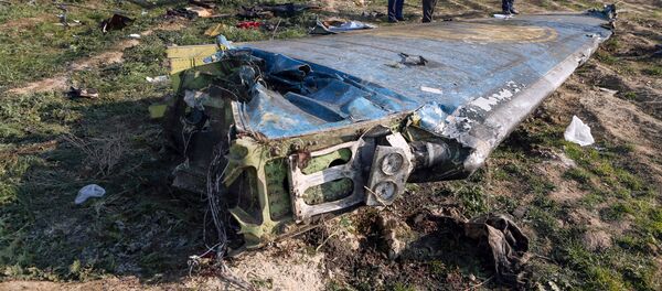 Ukrayna Havayolları'na ait Boeing 737 tipi yolcu uçağı, Tahran İmam Humeyni Havalimanı'ndan Ukrayna'nın başkenti Kiev'e gitmek üzere havalandıktan kısa bir süre sonra düştü. - Sputnik Türkiye