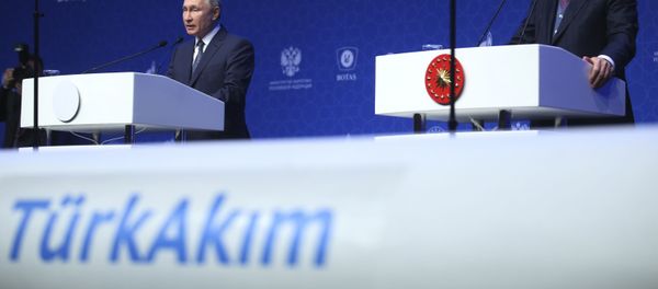 TürkAkım - Sputnik Türkiye