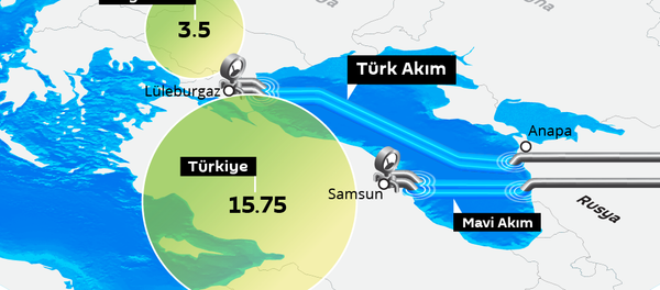 İnfografik - Sputnik Türkiye