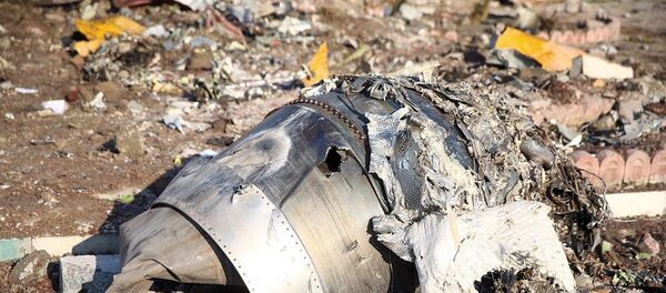 Tahran'da düşen Ukrayna Havayolları'na ait uçağı enkazı - Sputnik Türkiye